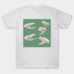 North American Predator Skulls Sage T-Shirt